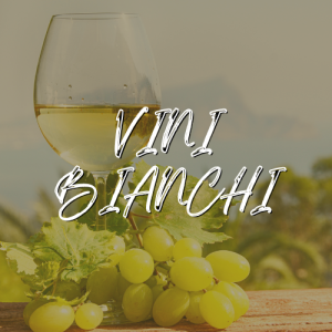 VINI BIANCHI